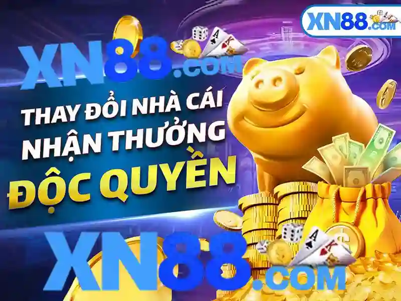 Nền tảng và cộng đồng người dùng\n
