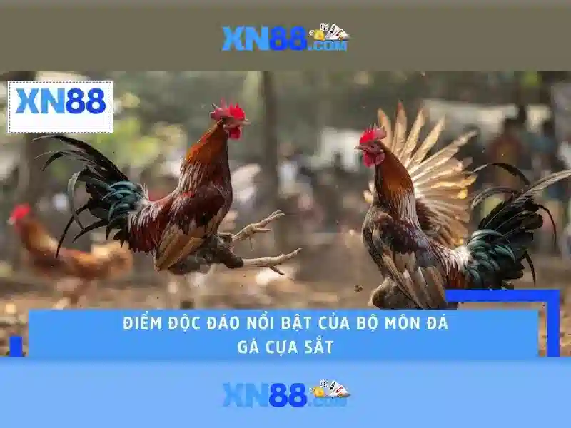 Các tính năng nổi bật