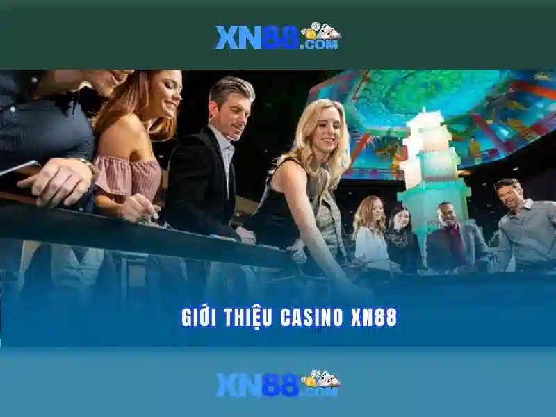 Tổng quan về xn88