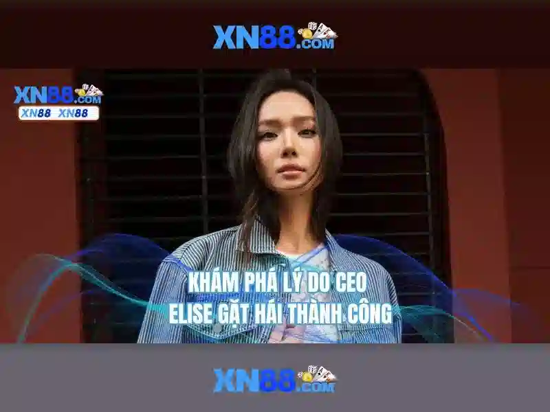 Cộng đồng người chơi và sự kiện