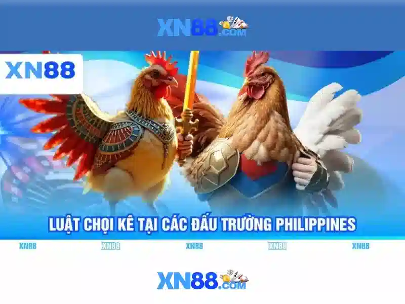 Khuyến mãi và chương trình thưởng\n