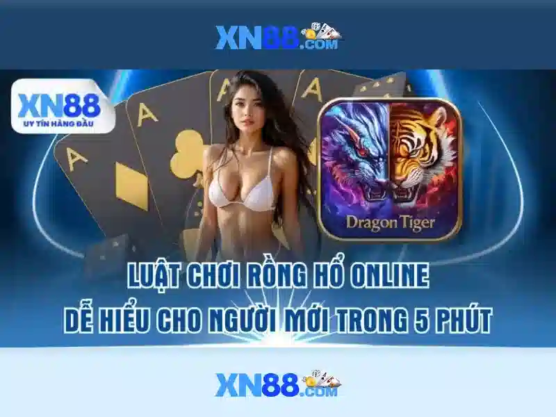 Sản phẩm và dịch vụ cốt lõi: ứng dụng tai xn88