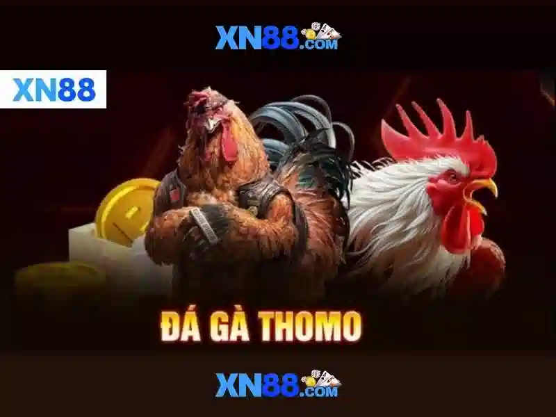 Hỗ trợ khách hàng và cộng đồng