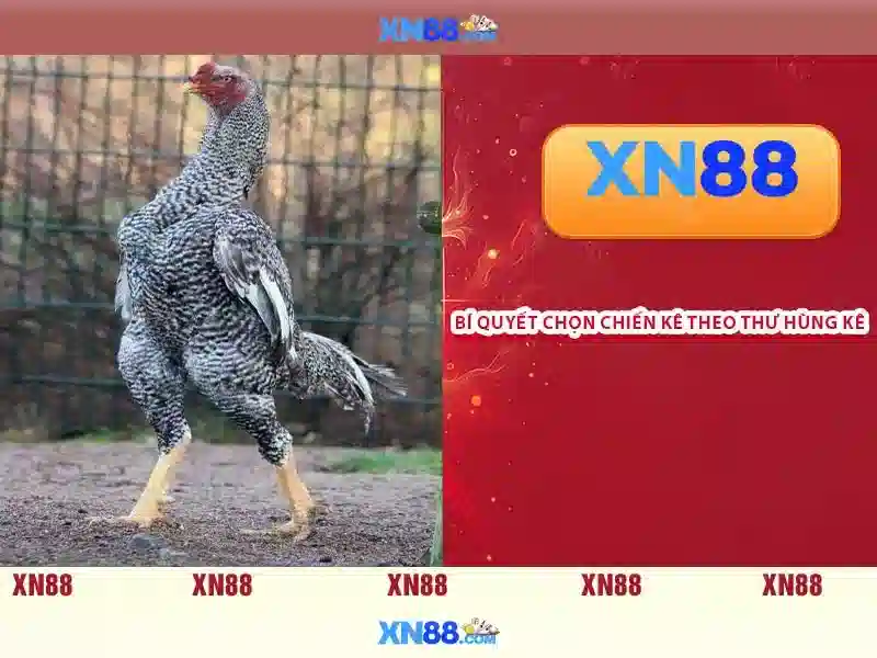 Nghiên cứu từ khóa xn88 và dai ly