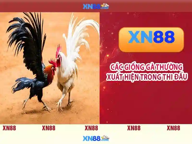 Mẹo chơi bắn cá 3 cây dễ ăn tiền nhà cái