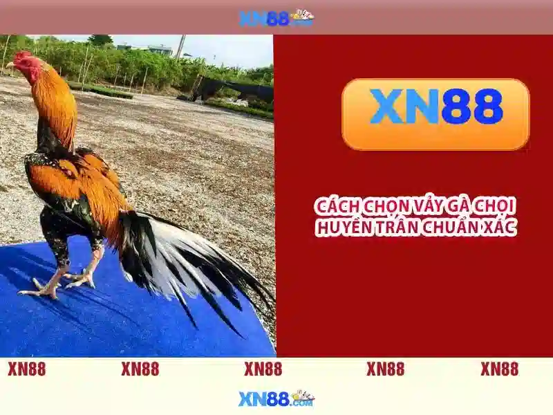 Lịch sử và nguồn gốc