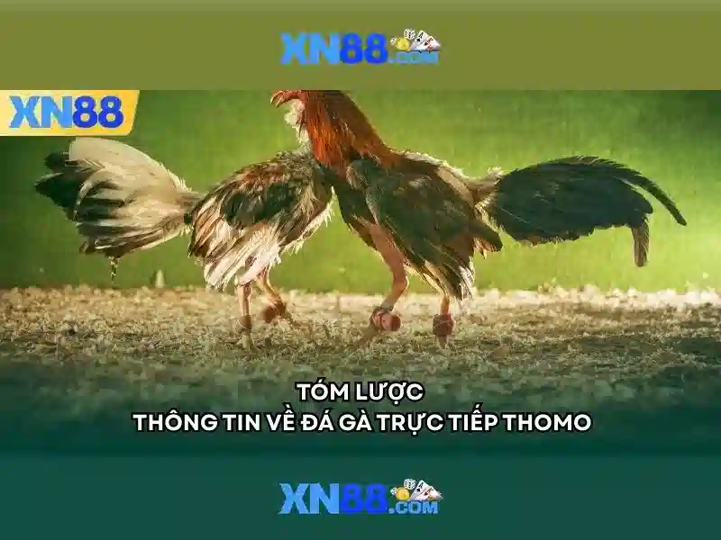 Hướng dẫn tham gia và nạp tiền