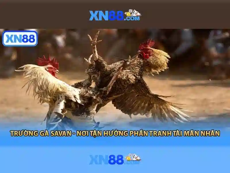 Các sản phẩm và dịch vụ chính: ứng dụng thực tiễn