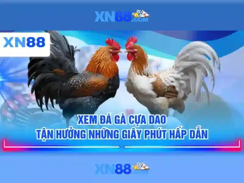 Mô hình đại lý xn88 và hoa hồng