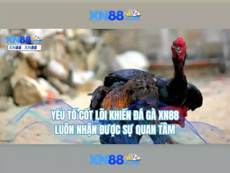 Giới thiệu xn88