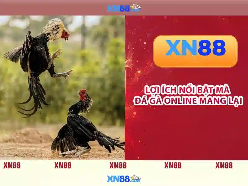 xn88 là gì và những điều bạn cần biết