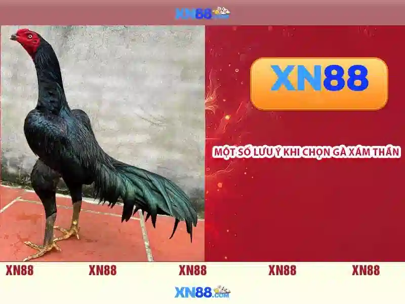 Giới thiệu về xn88: Nền tảng giải trí trực tuyến