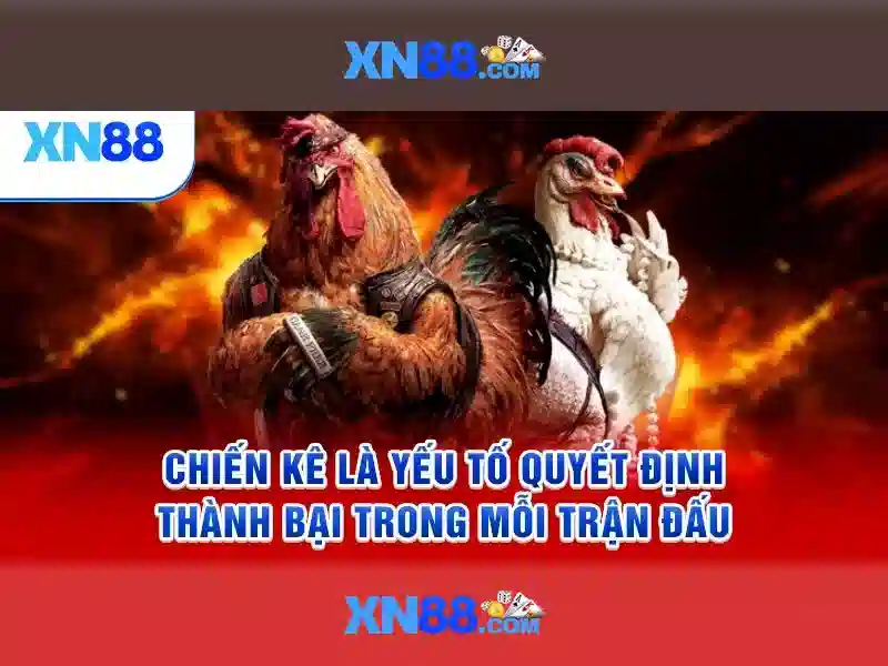 Mẹo chơi bắn cá 3 cây dễ ăn tiền nhà cái