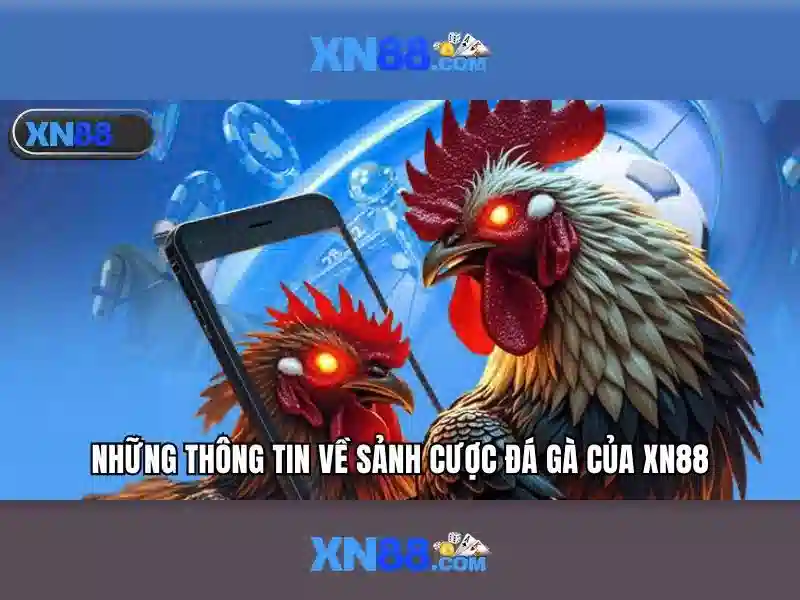 xn88 app com – Tổng quan và trải nghiệm người dùng