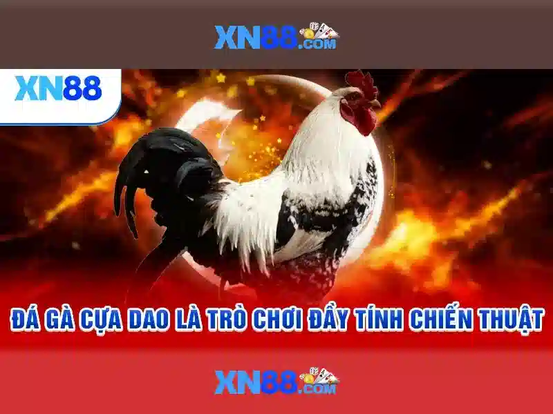 Nguồn gốc và sứ mệnh của xn88 c