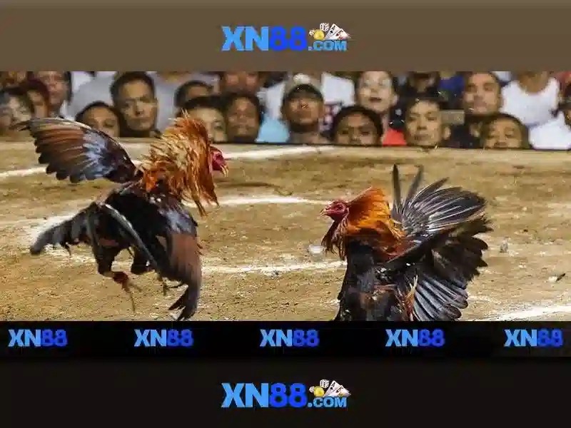 Nguồn gốc và sứ mệnh\n\n