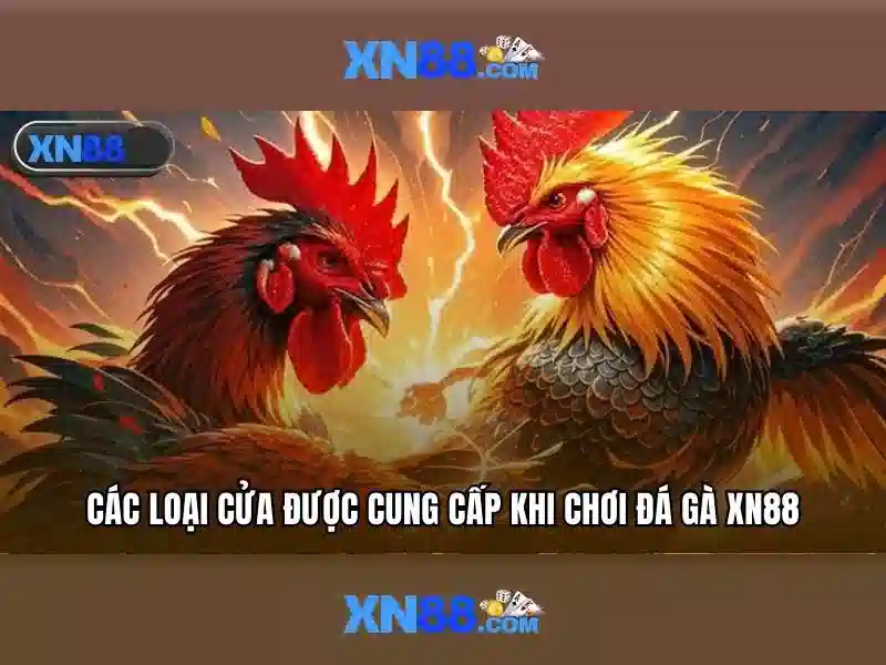xn88: Đánh giá và đặc điểm nổi bật