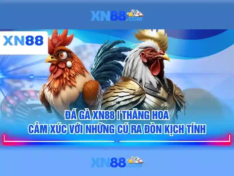 xn88 store – Trải nghiệm đỉnh cao với xn88 game