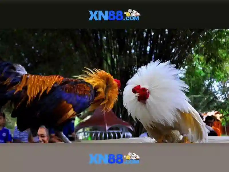 Nguồn gốc và sứ mệnh của xn88 đăng nhập