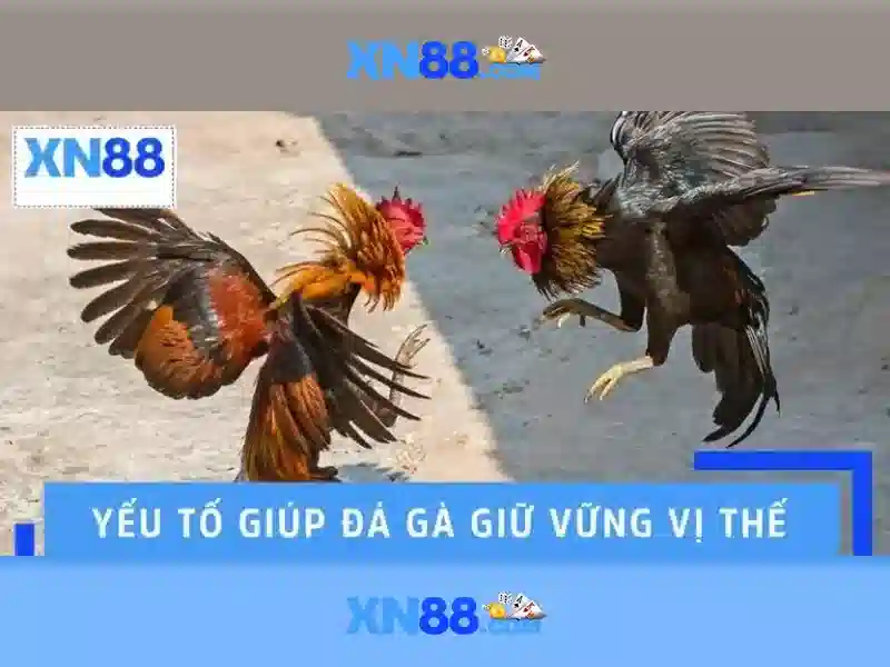 Sản phẩm và dịch vụ cốt lõi: ứng dụng gem xn88