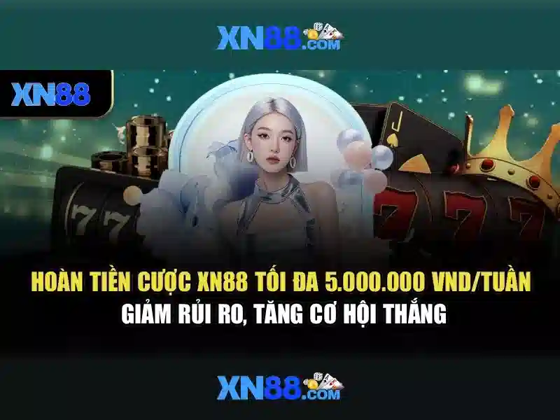 An toàn và quyền lợi người dùng