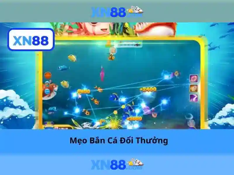 Giao diện và trải nghiệm người dùng