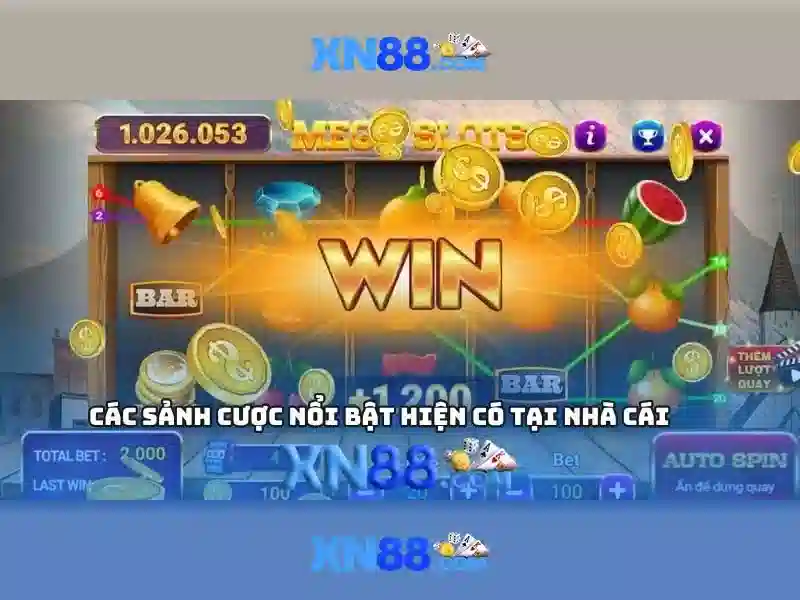 Lĩnh vực hoạt động và sản phẩm