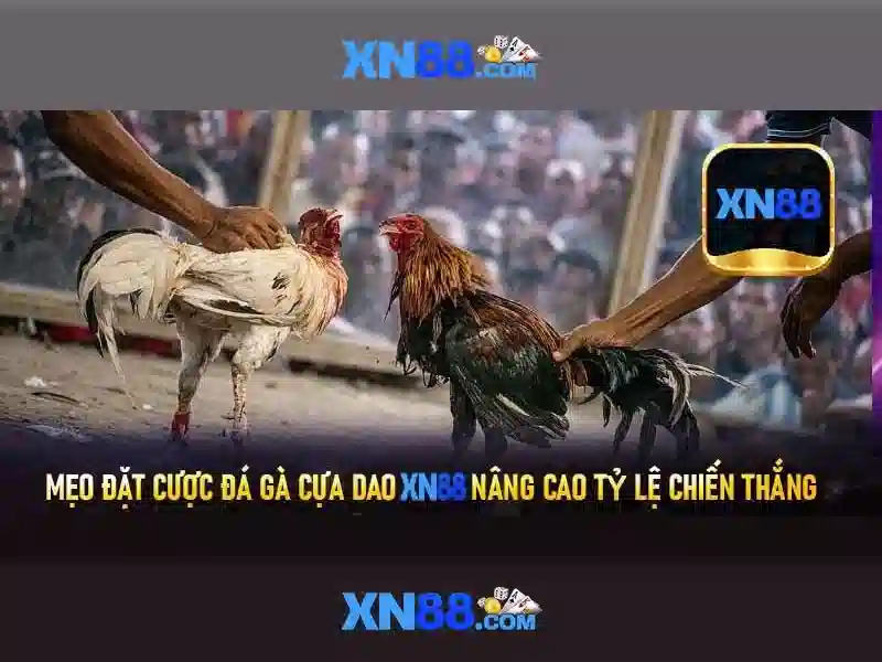 Tính năng nổi bật