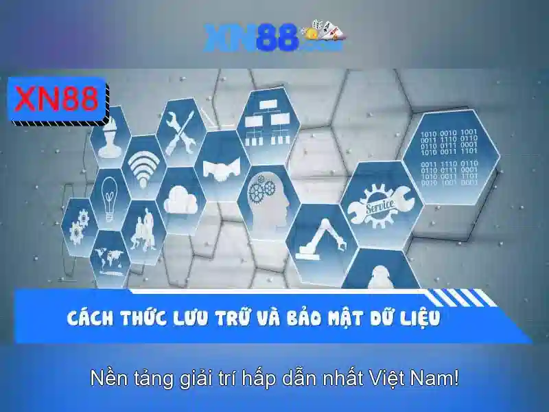Lịch sử và nguồn gốc