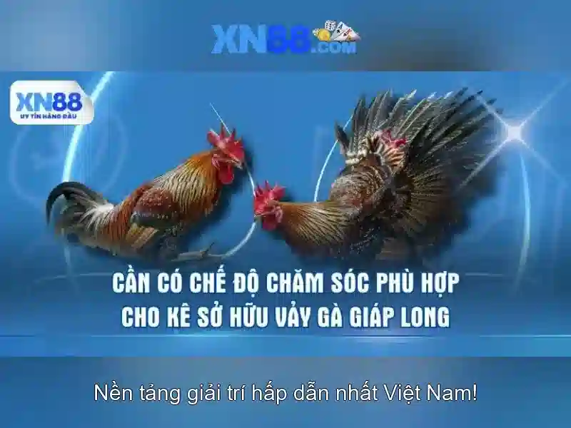 Mẹo chơi bắn cá 3 cây dễ ăn tiền nhà cái