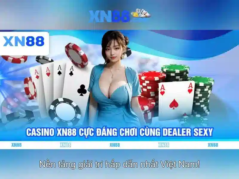 Kết luận và khuyến nghị