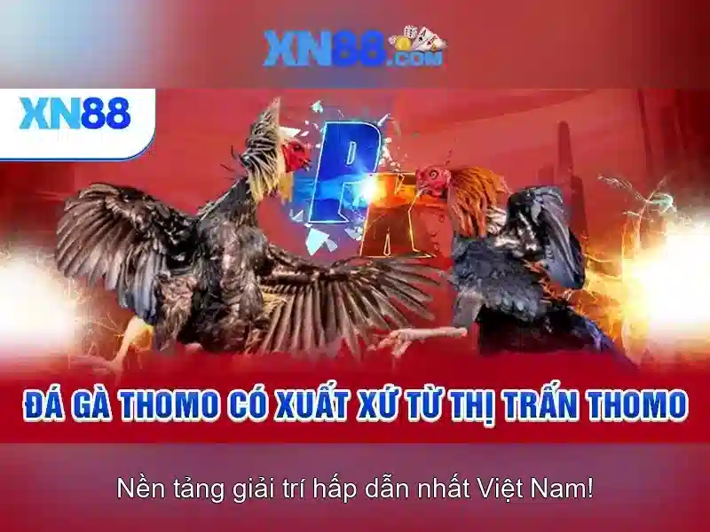 Dành cho người chơi Việt\n\n