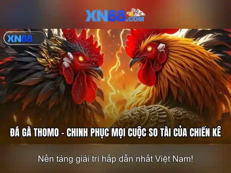 xn88 - Tổng quan về nền tảng chơi trực tuyến