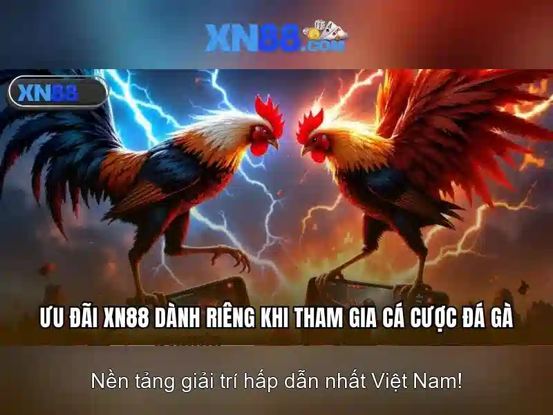 Nền tảng và sản phẩm