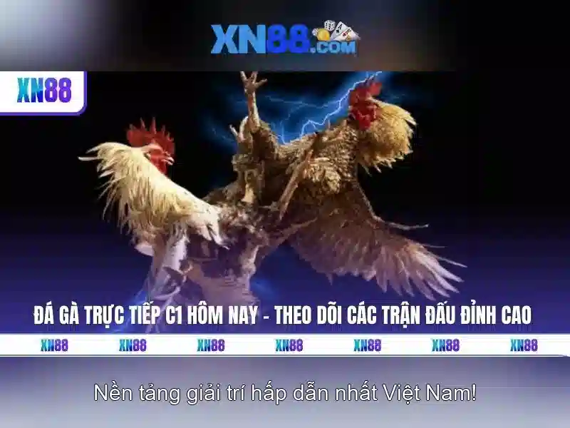Các trò chơi và dịch vụ