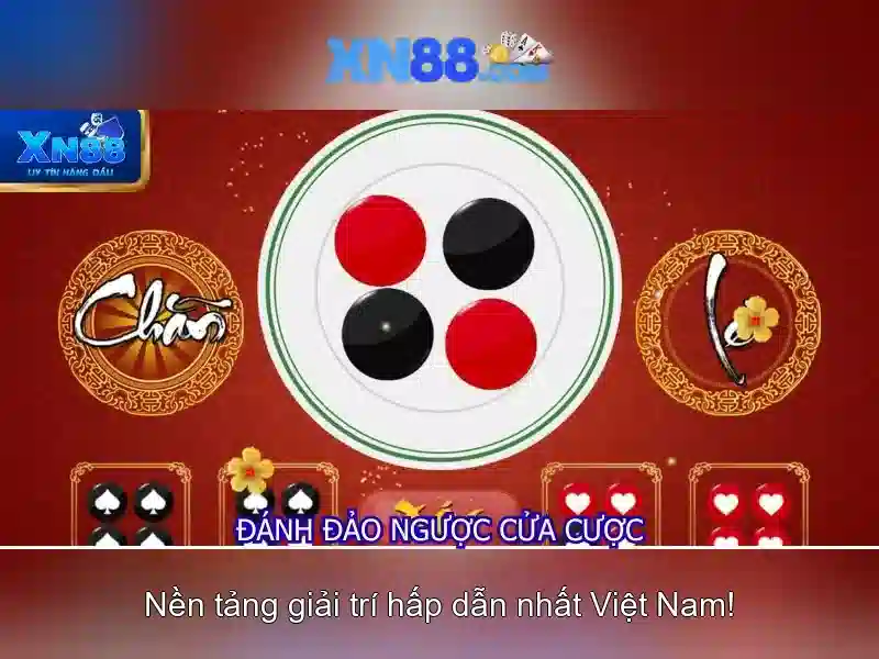 Giới thiệu về xn88\n