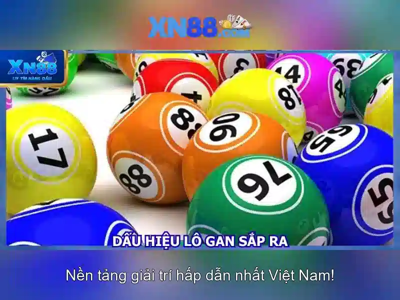 Các sản phẩm và trải nghiệm người dùng\n