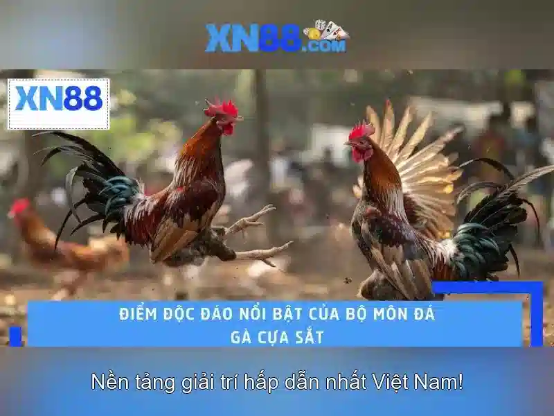 Các dịch vụ phổ biến Các dịch vụ phổ biến