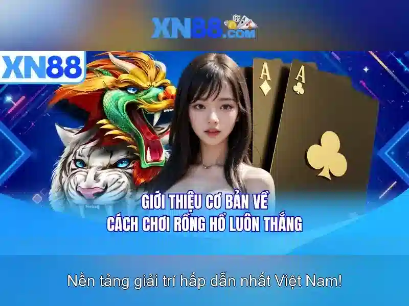 <!--IMG_PLACEHOLDER alt>Sản phẩm và dịch vụ cốt lõi: ứng dụng xn88 bet live-->\n