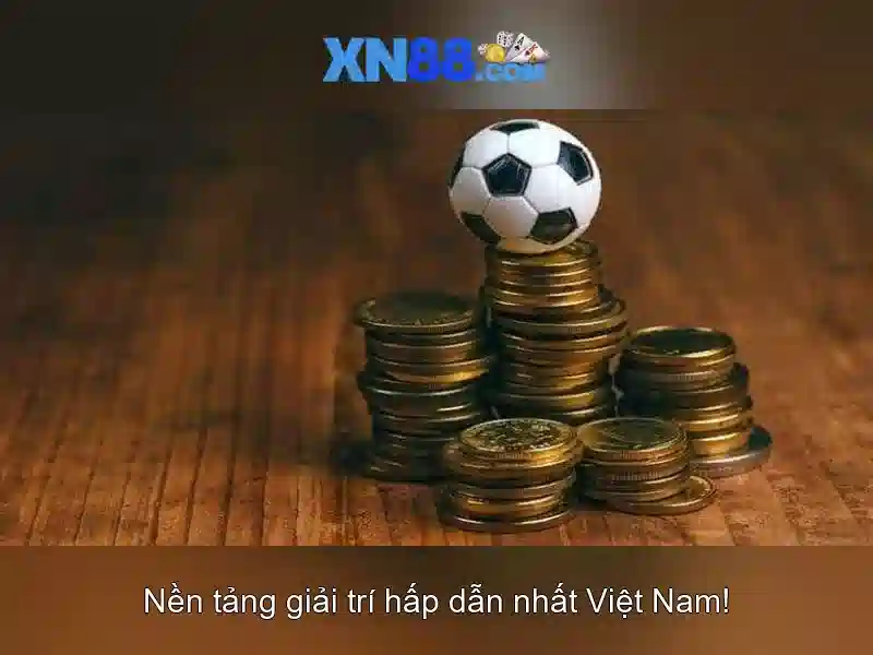 Hướng dẫn tham gia và lưu ý sau cùng