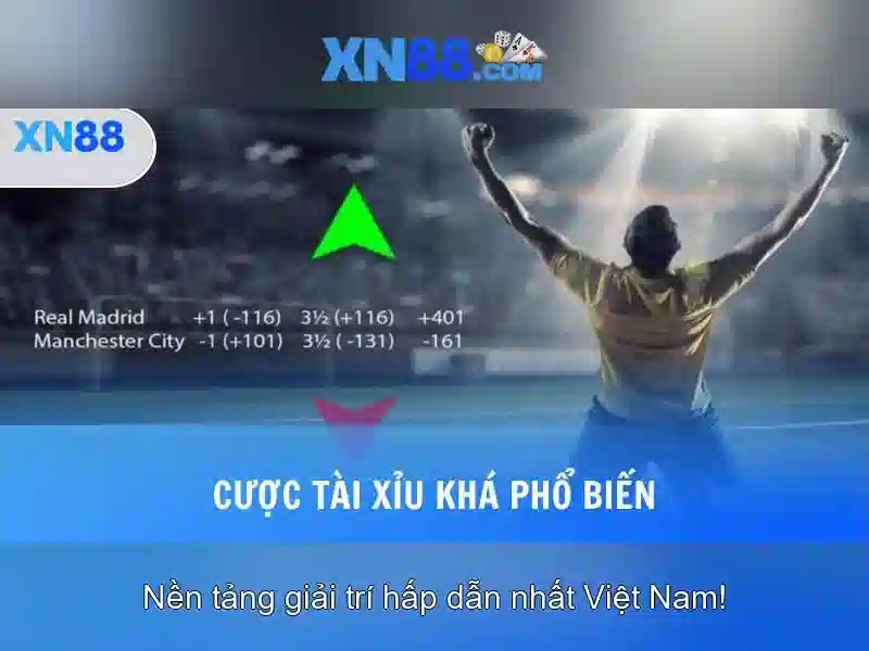 Trải nghiệm người dùng và phản hồi cộng đồng