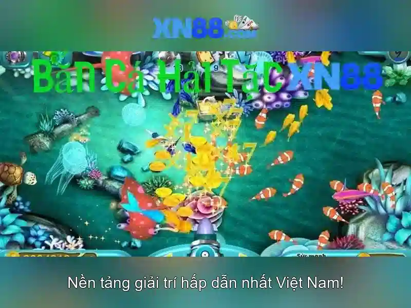 Hỗ trợ người dùng và liên hệ