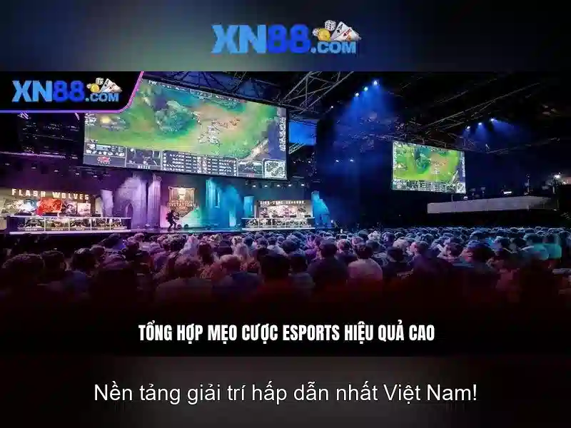 xn88: tổng quan và tiềm năng