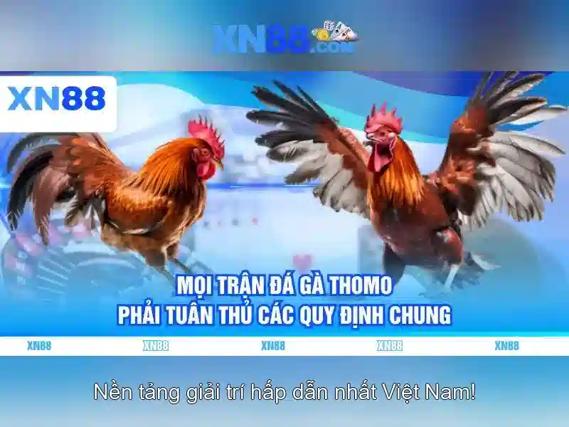 Hỗ trợ khách hàng và chương trình khuyến mãi