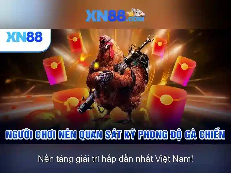 Xn88: Tổng quan về nền tảng chơi game trực tuyến