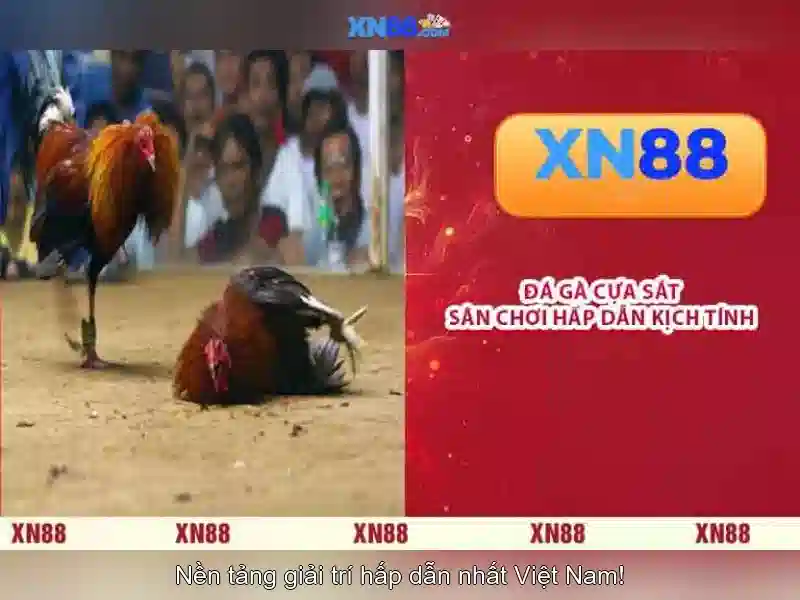 'Giới thiệu xn88'