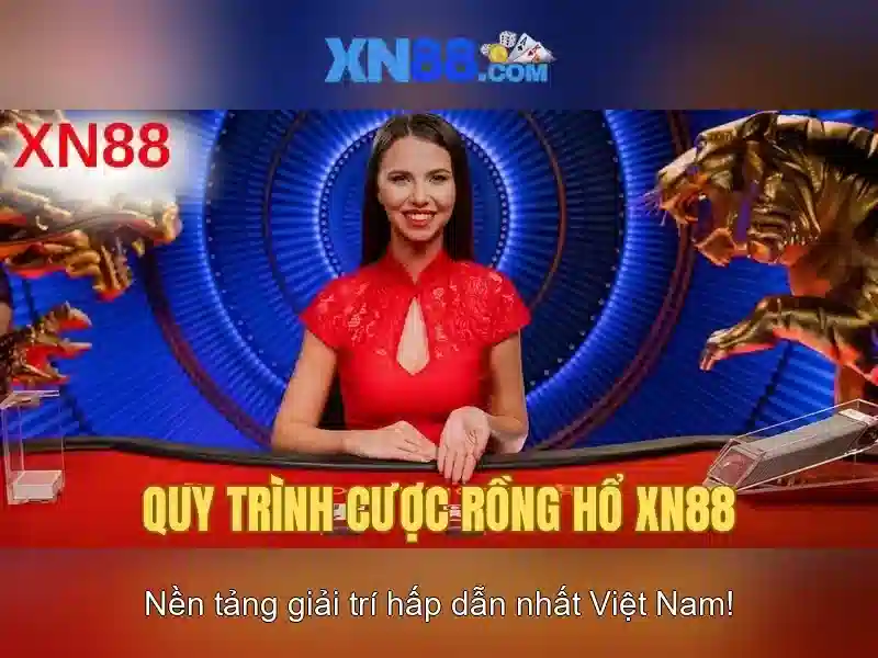 Trải nghiệm người dùng và Phản hồi cộng đồng