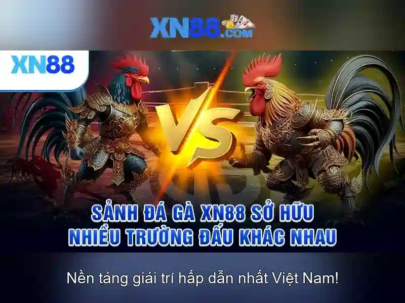 Xn88: Giới thiệu về nền tảng game và trải nghiệm người chơi