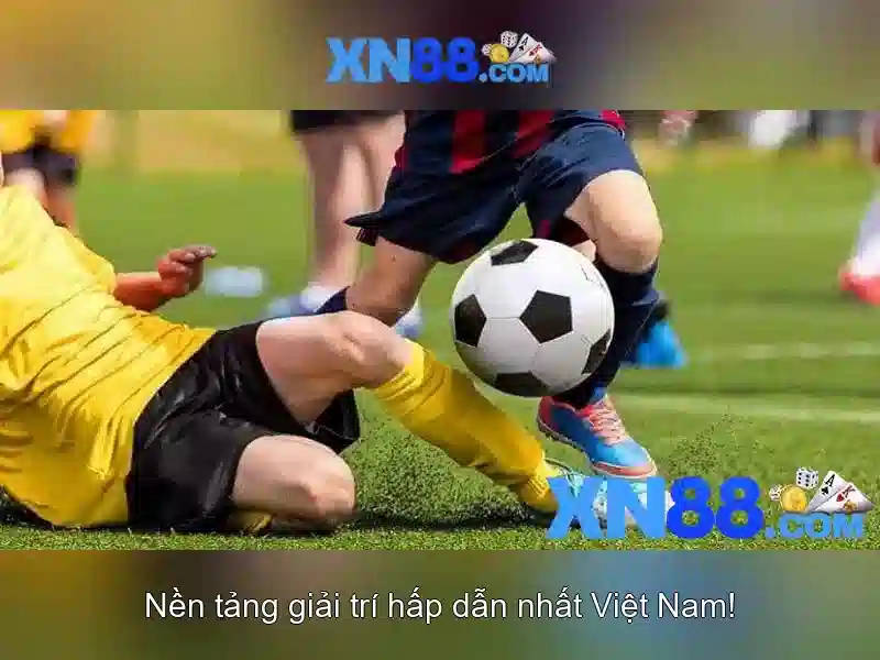 Các sản phẩm và dịch vụ