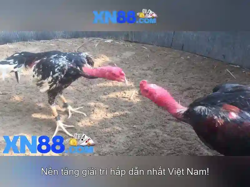 Giao diện di động và hỗ trợ